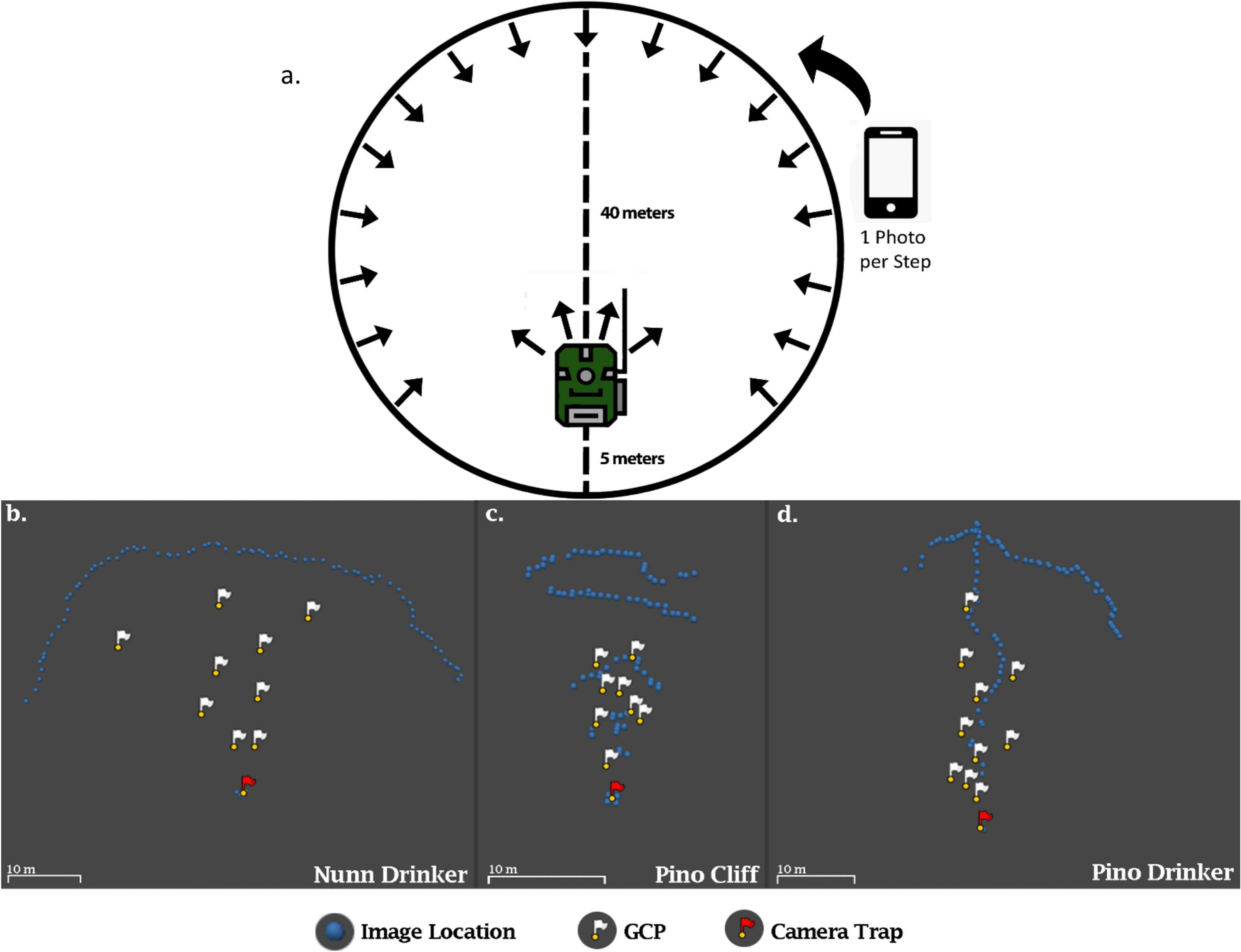 Imaging Pattern and Site Dynamics