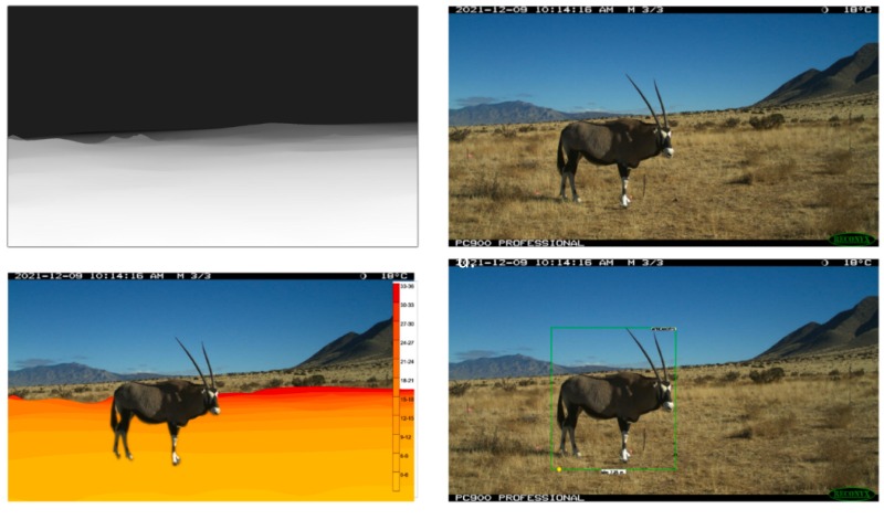 Depth Map Image